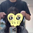 모발자유