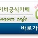 풀잎 Daum카페