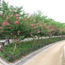 중앙공원 주변 이미지