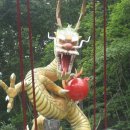 출렁다리(1) 이미지