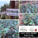 푸드 앤 라이프(Food & Life)
