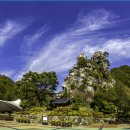 꼴두바우 이미지