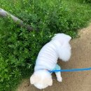 누리공원 농구장 이미지