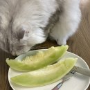 (주)화전산업 | 하면 하는거지 뭐