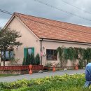 주평 | [담양] 감성카페 ‘카페주평’ | 조용한 정원이 주는 내돈내산 힐링 후기