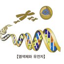 차지 증후군[CHARGE Syndrome]유전질환 이미지