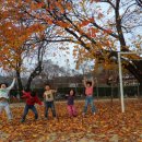 서벽초등학교 이미지