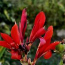 장자호수생태공원 이미지