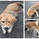 이화1길 이미지