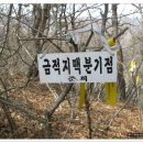 대안3 Daum카페