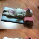 잘자