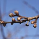 방실농장 이미지