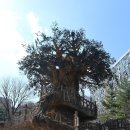 벌말체육공원 이미지