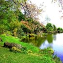 부부로2 이미지