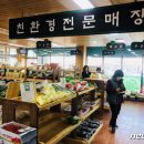 푸드1번지