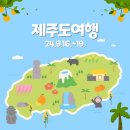 수아농원 | [제주도여행] 제주도 3박 4일 가족여행 일정 공유 (+여행총경비)