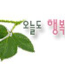 하얀여울