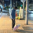 꿈나라유치원 | 4월 28일 월요일부터 우리들이 자라나는 5월의 연휴까지 모아 모아