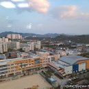 엘에이치몰 이미지