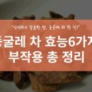 둥글레차 효능 둥굴레차 부작용 잎 뿌리 카페인 주의해야 할 건 이미지