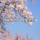 동산숲협동조합 | [인천벚꽃명소]SK인천석유화학 벚꽃동산 2026년 개방날짜/주차정보/대중교통/