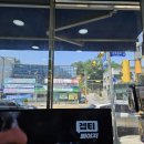 새들약국 이미지