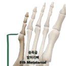 이재규 스포츠 재활 이미지