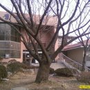 고덕평생학습관 이미지