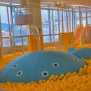 코끼리 키즈짐 이미지