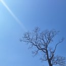 설레이다 | 아라메길을 지나 개심사, 해미읍성 그리고 예산의 남연군묘와 추사고택을 답사하며 봄꽃에 마음을 설레이다