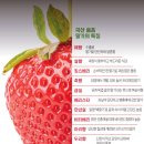 킹스베리