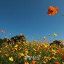 황화농장 이미지