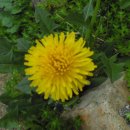 금정산성마을 이미지