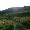 김윤태농장 이미지