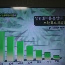 백초(여) 이미지