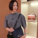 델보 | 김나영 가방 뭐길래? 에르메스 안 부럽다는 델보 레옹스 실물 후기