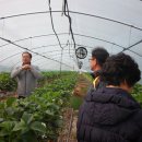 황룡농장 이미지