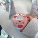 숙짬