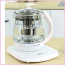 약재 | 가정용 전기 유리 약탕기 2주 사용후기와 달임 약재 변화 이야기