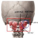 온아에스테틱 - 수원시 영통구 법조로 25 | 온아에스테틱