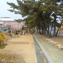 삼랑진초등학교 이미지