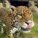 고흥그린바이오텍(주) | 키