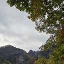 속리산 - 성남시 중원구 시민로117번길 2 | 속리산