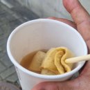 할리하우스 Daum카페