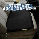 시트로 | 차량용방석의 끝판왕! 밸런스온 기능성 차량용시트로 엉덩이,허리배김 해결 후기!
