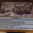 진부령식당 이미지