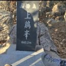 척추자세교정 걷기테라피 이미지