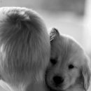 알레그레 이미지