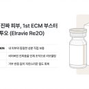 손끝차이 네이버블로그