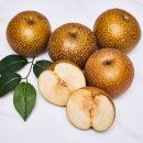 돌배황토 이미지